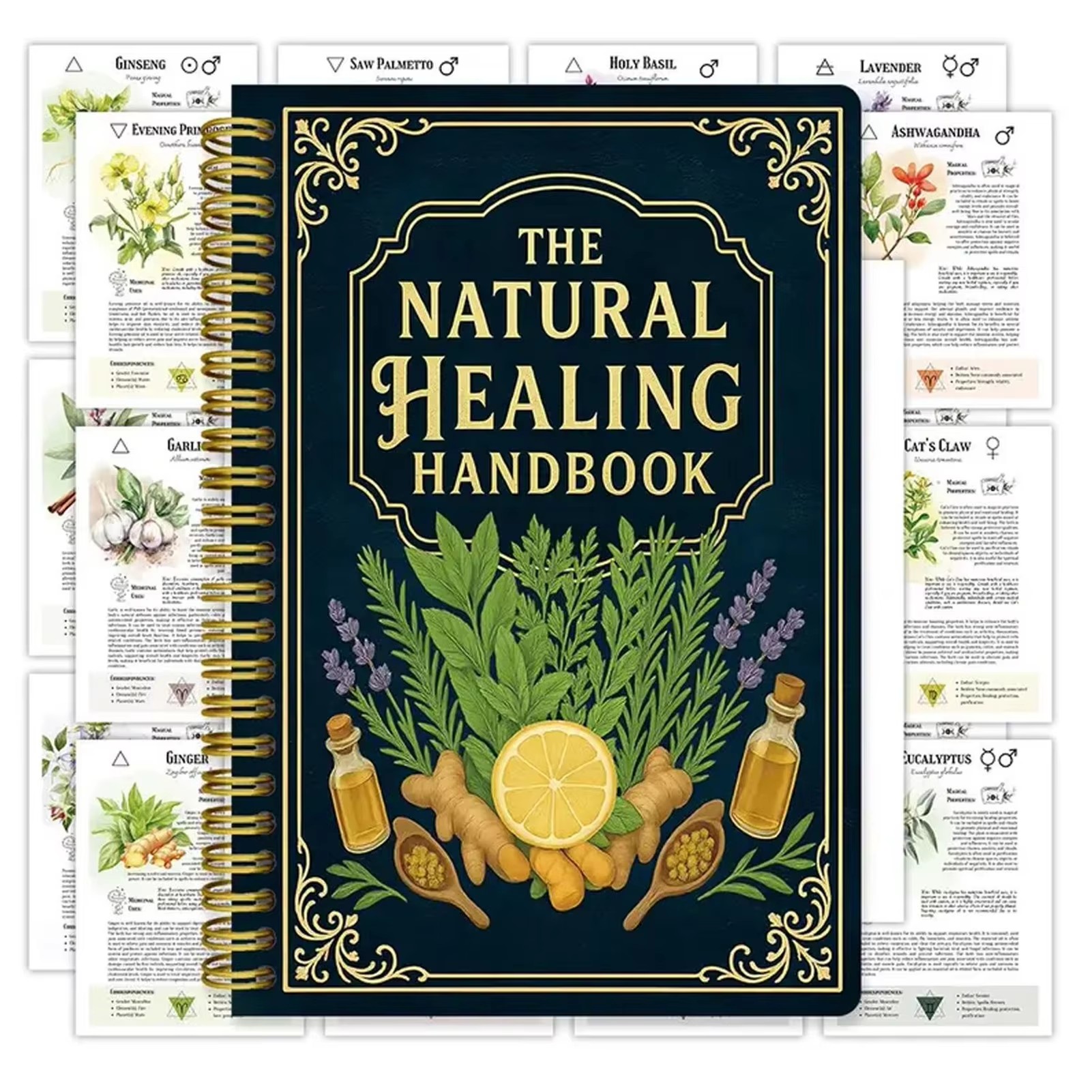 Health & Wellness Gordon Edlin - Healing Handbook By Luna Filby English