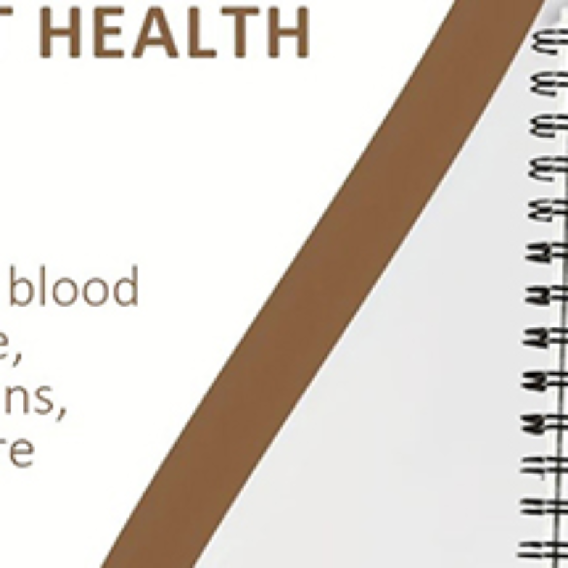 Health Wellness Planner - Mental Health Journal ,Mental Health Planner,Wellness