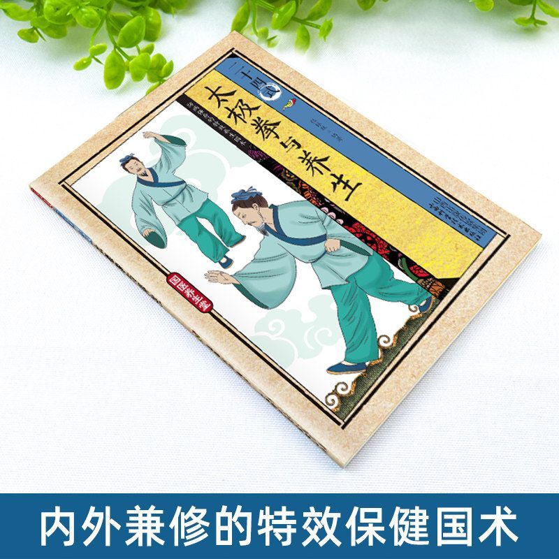 24 Style Tai Chi and Health Ex - Health & Wellness Gordon Edlin recensione e prezzo