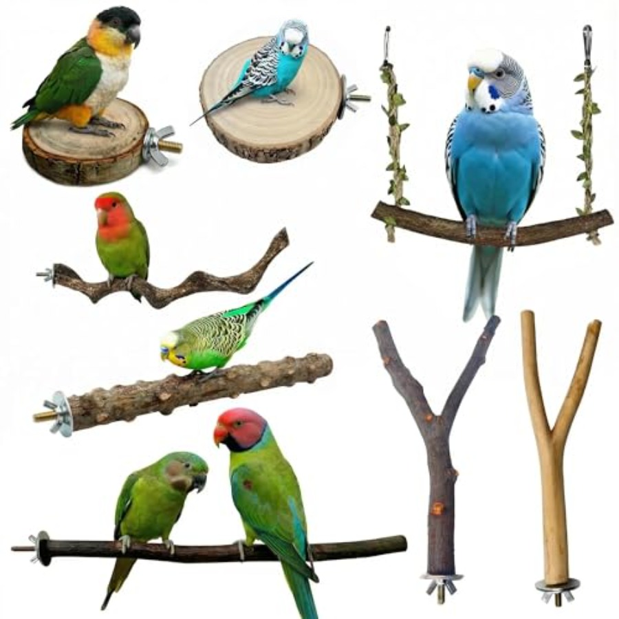 8PCS natural wood bird perches - Health & Wellness Gordon Edlin recensione e prezzo