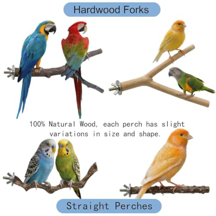 8PCS natural wood bird perches - Health & Wellness Gordon Edlin recensione e prezzo