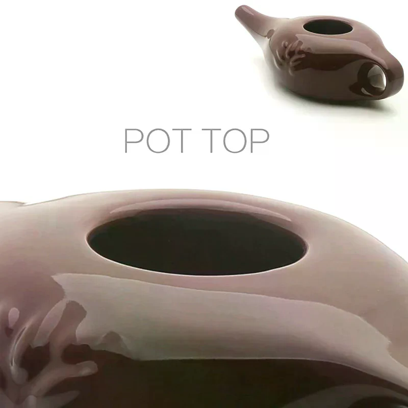 For Sinus Rhinitis Allergy Nos - Neti Pot Nasal Rinse recensione e prezzo