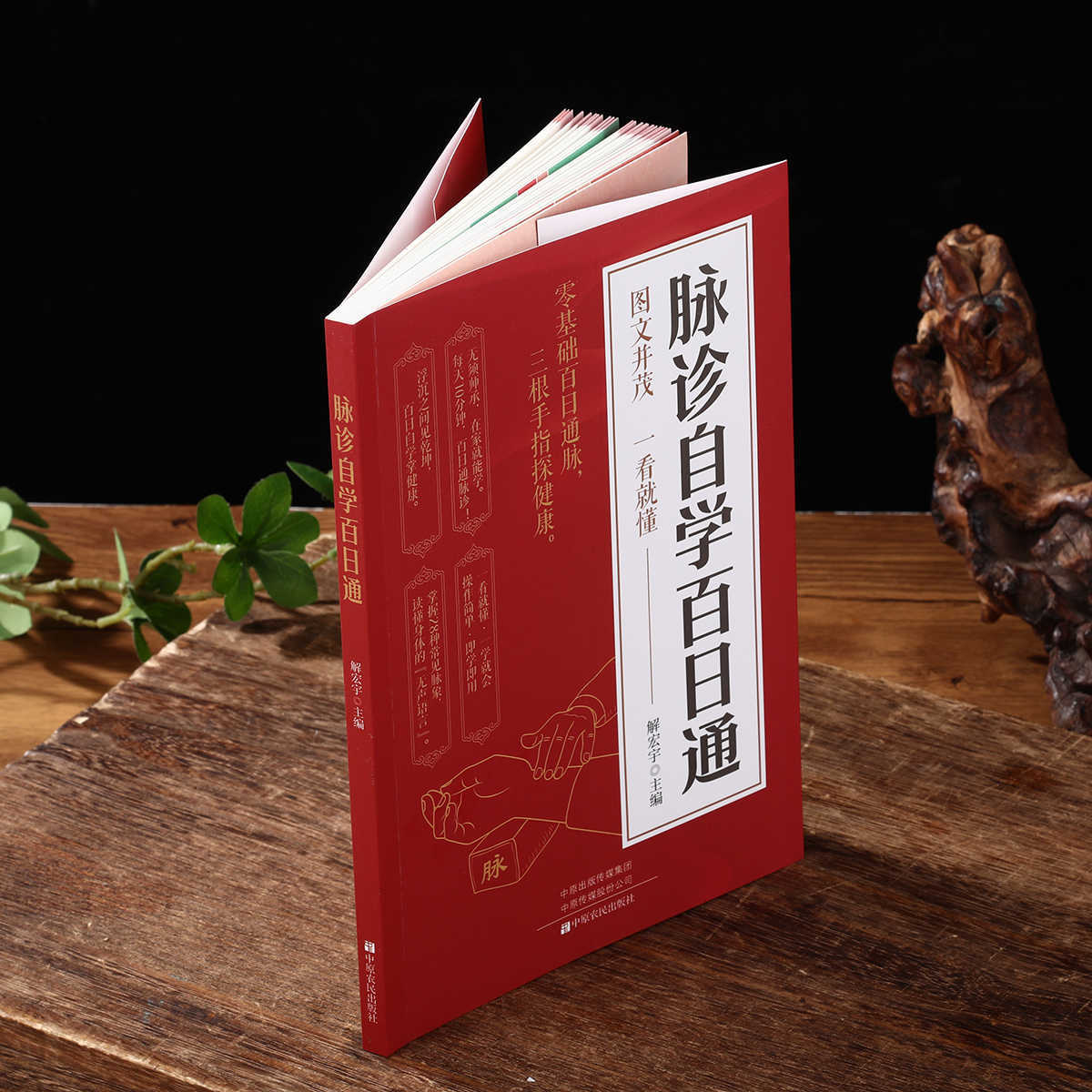 Pulse Diagnosis Self Study Hun - Health & Wellness Gordon Edlin recensione e prezzo