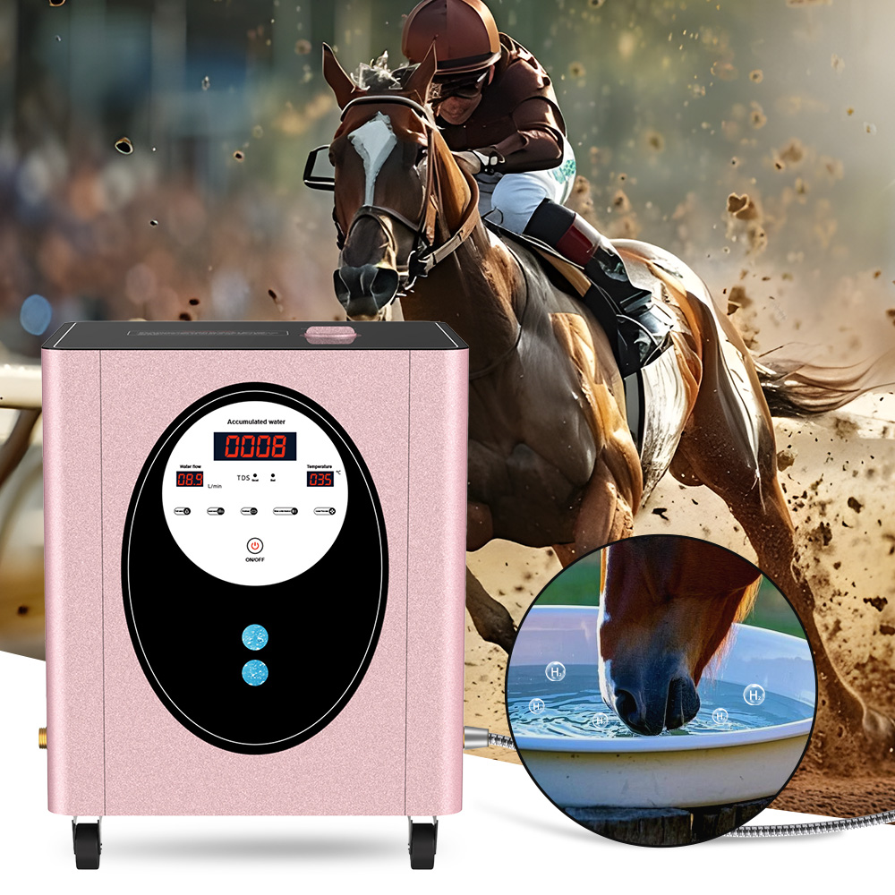 SUYZEKO Whole House Hydrogen W - Health Wellness And Spa recensione e prezzo