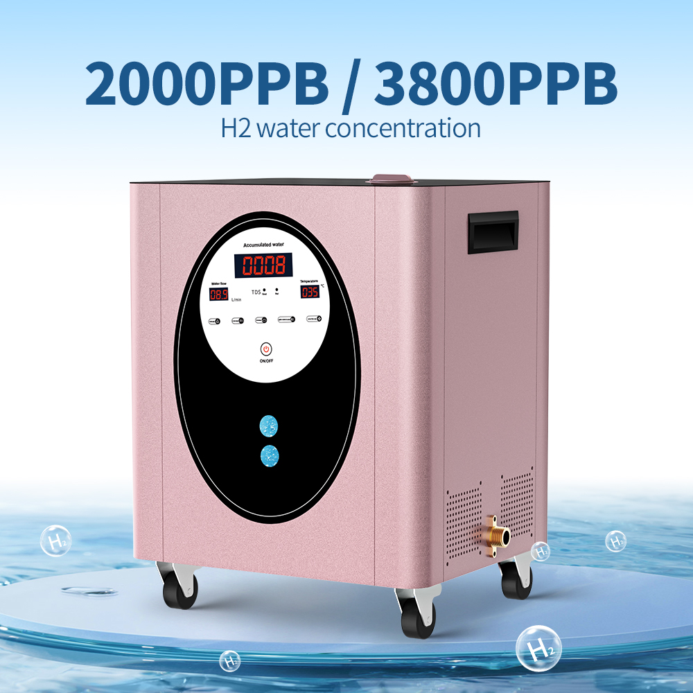 SUYZEKO Whole House Hydrogen W - Health Wellness And Spa recensione e prezzo